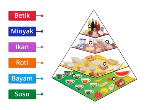 Piramid Makanan 2020 Labelled Diagram