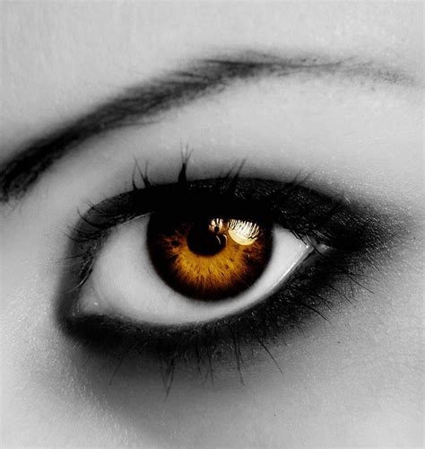I hope you all enjoy! Facts about your eye color - Amber eyes - Wattpad