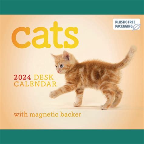 Pre Order Cats Mini Boxed Calendar 2024