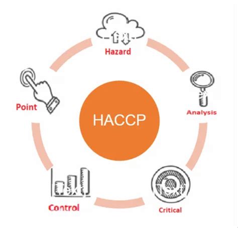 HACCP Hazard Analysis Critical Control Point In Vashi Navi Mumbai