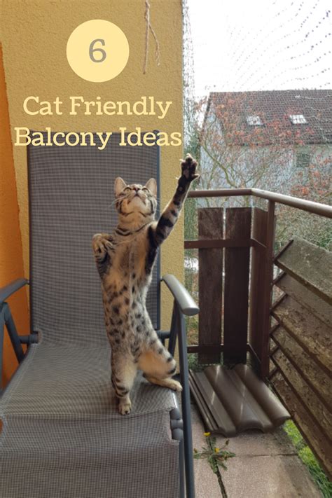 Cat Friendly Balcony Ideas Cat Proof Balcony Cat Patio Cat Proofing