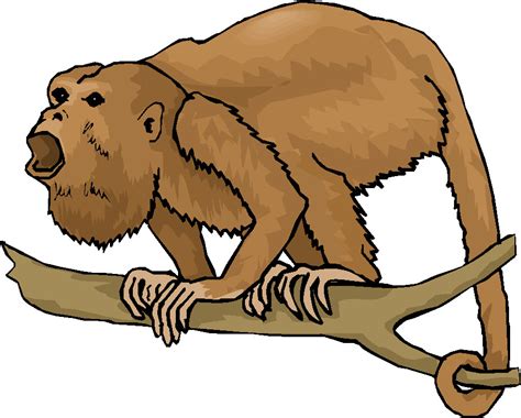 Download Howler Monkey Clipart For Free Designlooter 2020 👨‍🎨