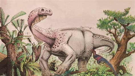 New Dinosaur Species Discovered In South Africa Youtube