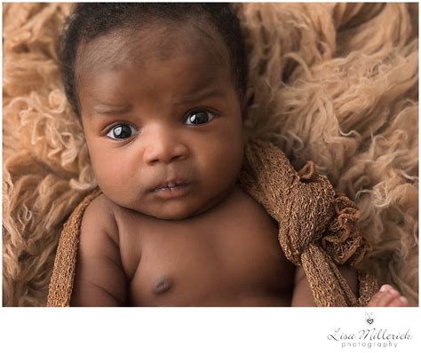 Hq Images Black Newborn Hair Handsome Baby J Westchester County Newborn Photographer Amanda