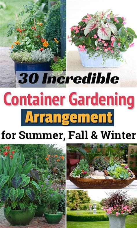 With These 30 Plant Combination Ideas For Container Gardens Youll