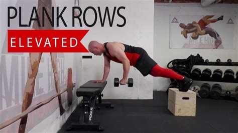Elevated Dumbbell Plank Rows Youtube