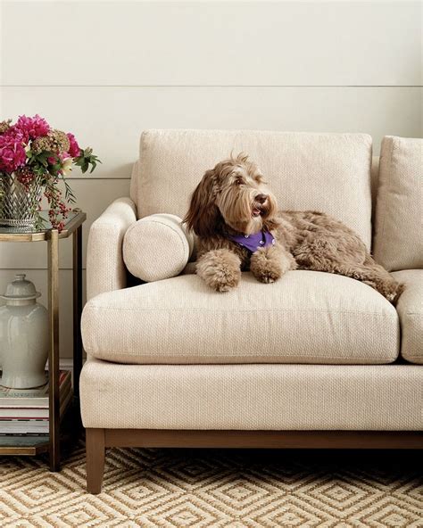 Best Sofas For Dogs Cool Couches Pet Friendly Furniture Pet