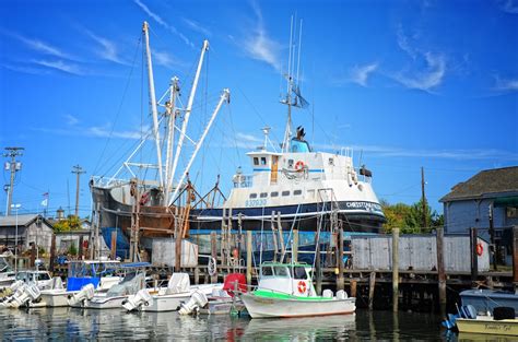 Commercial Fishing Cape May County Nj Official Website
