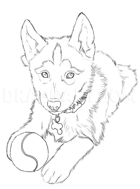 How To Draw Huskies Draw A Husky Step By Step Drawing Guide By