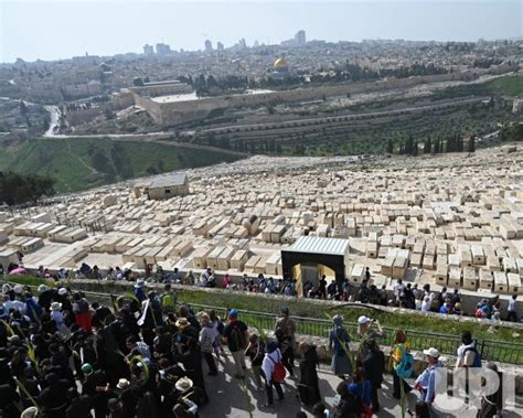 Photo Christians Take Part In The Palm Sunday Procession On The Mt Of