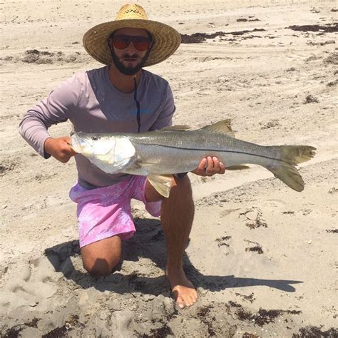 Big Snook In The Surf In Palm Beach Freshwaterfishing Best Fishing