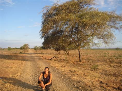 Baluran National Park East Java Attraction Au