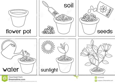 And just like every other gift god gives us… it's not for us to hold onto but it's also for us to give away. Coloring Page. Instructions On How To Plant Flower In Six ...