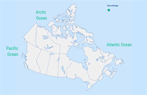 Orca Nature Canada