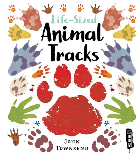 Animal Tracks Childrens Book Reading Adventures For Kids Ages 3 To 5