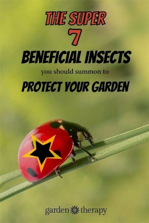 7 Beneficial Insects To Protect Your Garden
