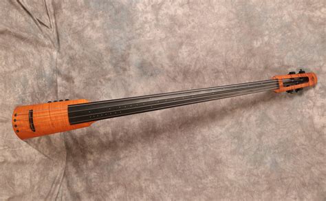 ns design cr4 electric upright bass andy baxter bass and guitars
