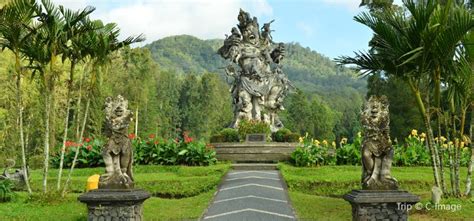 Einen guten eindruck davon, was indonesien im herzen ausmacht, bietet der nationalpark bali barat. Jatiluwih - Bali Tourismus mit wunderschönem Naturpanorama ...