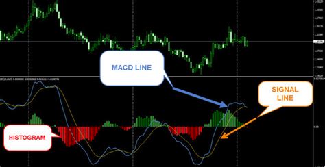 How To Use The Macd Indicator Mt4 Like A Pro Free Nude Porn Photos