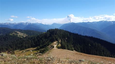 Last Augusts Forest Fires From Hurricane Ridge Olympic