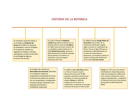 Historia De La BotÁnica Historia De La BotÁnica Se Remonta A La