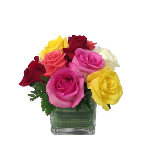 Petite Roses Ashland Addison Florist Co