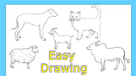5 Animals Drawing Easy How To Draw Domestic Animals Step By Step Easy