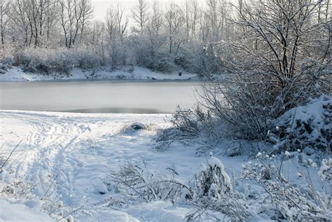 Frozen Snowy Lake Free Photo Download Freeimages