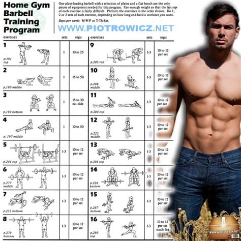 Home Gym Barbell Training Program - Full Body Workout Plan 6Pack ...