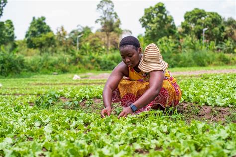 Africa Restoring Degraded Land And Drought What Role For Women