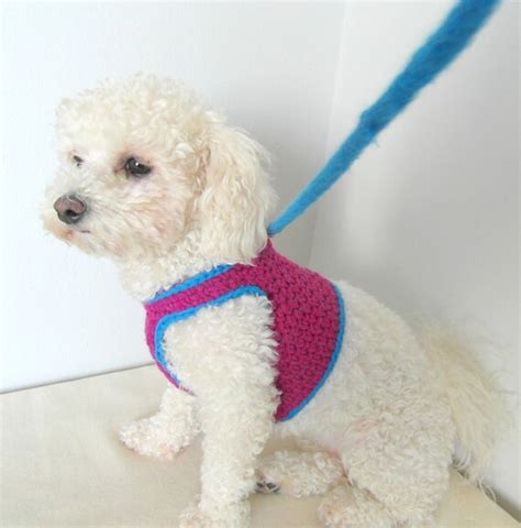 Crochet Dog Harness Dog Harness Vest Matching Leash Pets