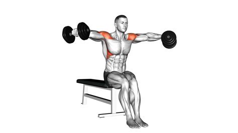 Dumbbell Seated Bent Arm Lateral Raise Exercise Guide And Tips