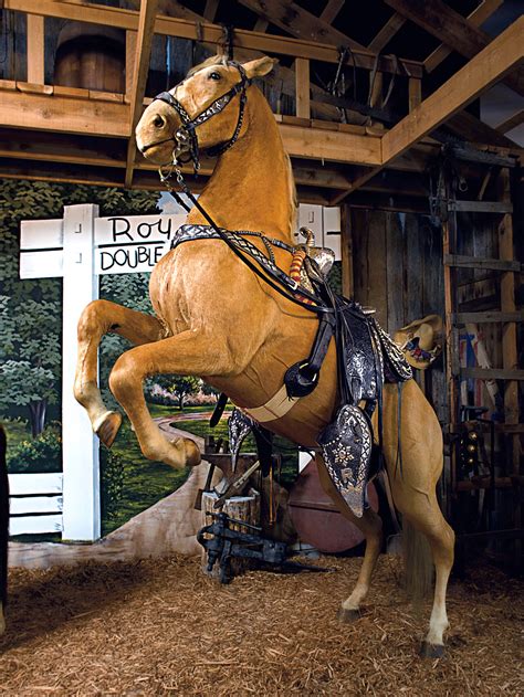 For Sale Roy Rogers Trusty Horse Trigger Npr