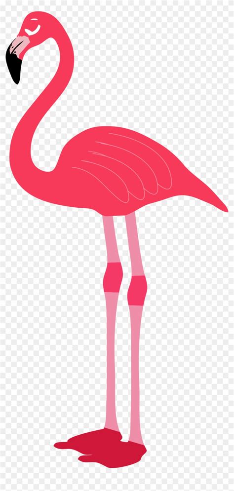 Flamingo Clip Art Free Flamingo Transparent Free Transparent Png
