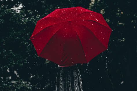 Guide To Rain Photography 8 Creative Ideas