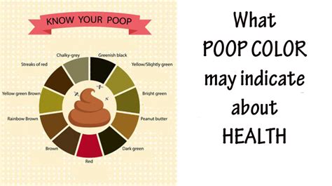 Pin On Gastrointestinal Health Color Of Your Poop Chart Stool Color
