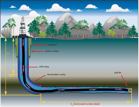 Schematic Overview Of The Horizontal Extended Reach Well Download