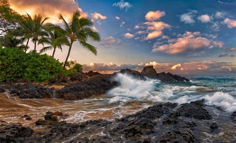 Wallpaper Maui Hawaii Pacific Ocean Rock Surf Rocks Palm Trees