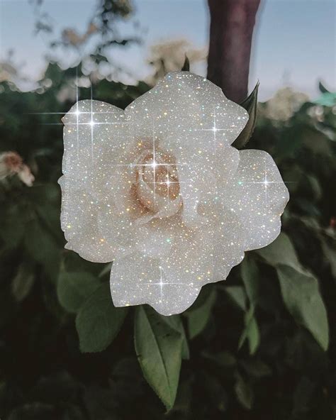 Glitter Flower Makes Everything Better Edits By Me Gabrielvasquezart