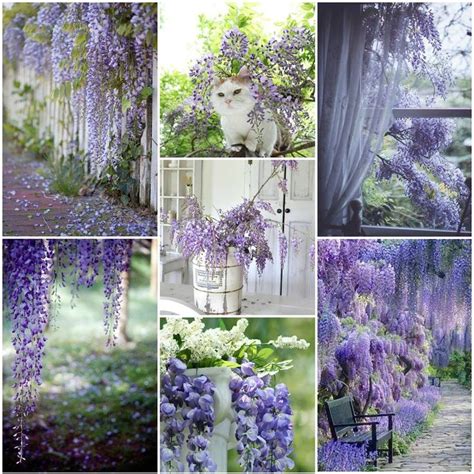 Pin By Jolanda Van Horen On Moodboards And Collages Purple Sparkle