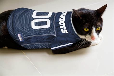 Pets First Nfl Dog And Cat Mesh Jersey Dallas Cowboys Small