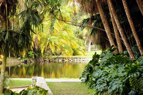 Fairchild garden | exploring, explaining and conserving the world of tropical plants. Especial Miami!