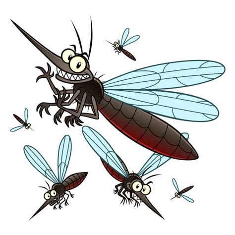 Gnat Bugs Cartoons Illustrations Royalty Free Vector Graphics And Clip