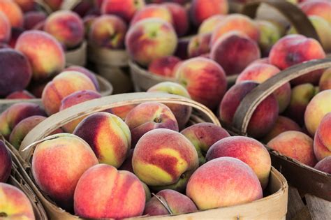 Georgia Peaches 8 Best Places To Find Them Including Our Favorite