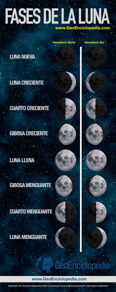 Infografía Fases De La Luna Información Y Características Geografía