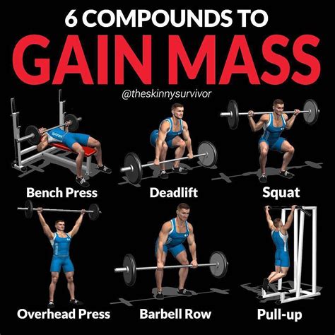 Gain Muscle Mass Using Only Dumbbells With Demonstrated Exercises Gymguider Com Ectomorph