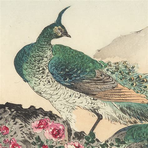 Fuji Arts Japanese Prints Peacocks By Meiji Era Artist Unsigned
