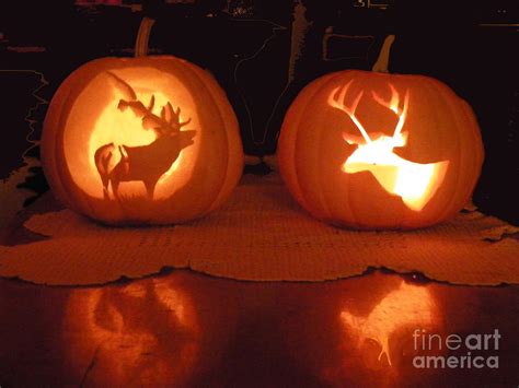 Wildlife Halloween Pumpkin Carving Photograph By Dale Jackson Fine