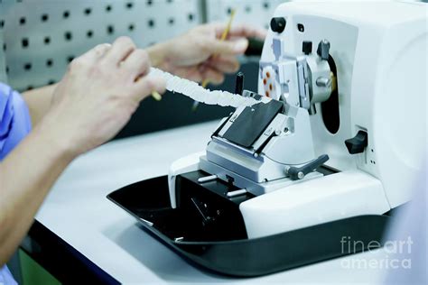 Cutting Tissue Section With Rotary Microtome Photograph By