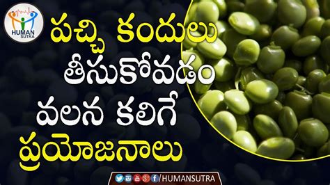 Healthy Food Fresh Pigeon Peas And Its Benefits Health Tips In Telugu